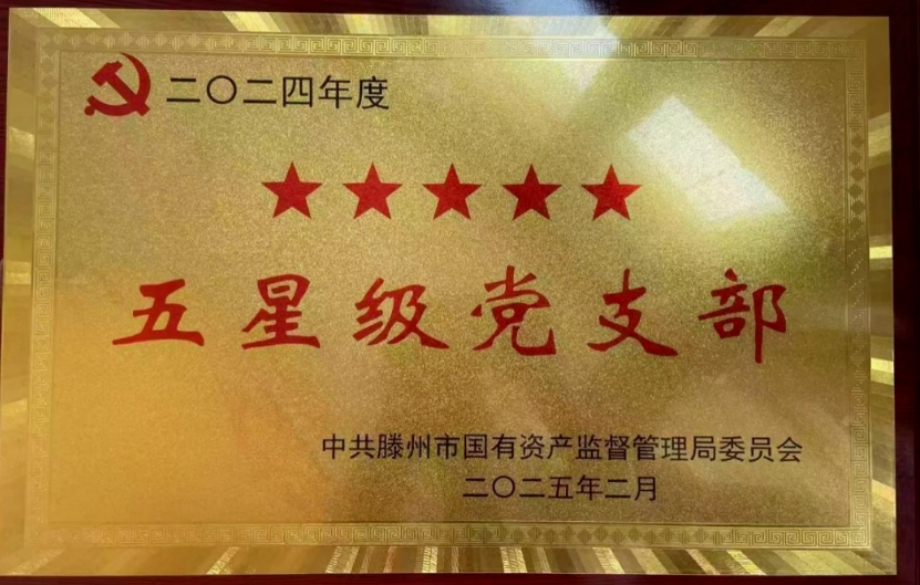 【喜報(bào)】信華集團(tuán)4個(gè)黨支部獲評(píng)“五星級(jí)黨支部”
