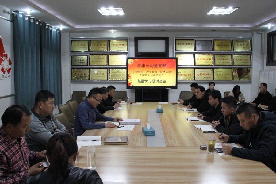 億豐公司黨支部開(kāi)展“工業(yè)強(qiáng)市、產(chǎn)業(yè)興市‘攻堅(jiān)五問(wèn)’  大調(diào)研大討論活動(dòng)”專(zhuān)題研討會(huì)議